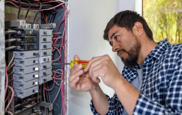 Best Electric Panel Repair  in Tularosa, NM